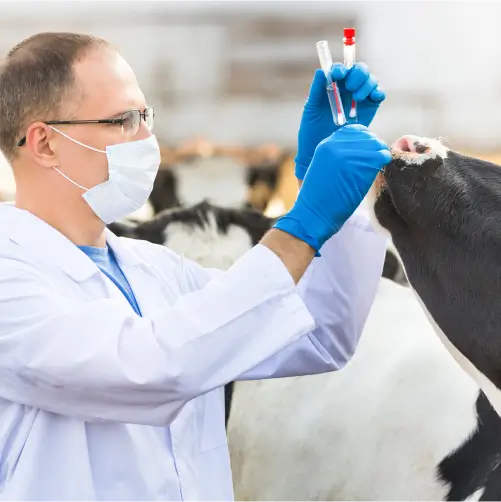 Curso de Epidemiologia Veterinária